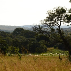 2015-05 South Africa/iMfolozi/DSC_0070.JPG